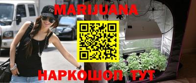 шишки Пугачёв