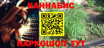шишки Пугачёв