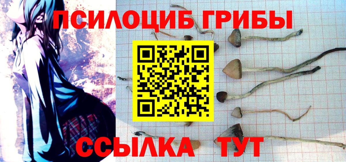 Псилоцибиновые грибы ЛСД Обнинск