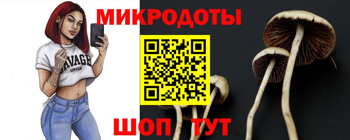 Галлюциногенные грибы Cubensis  Псилоцибиновые грибы Magic Shrooms  Вход с VPN  Обнинск 